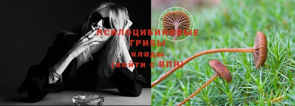 герыч Алзамай