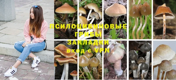 дурь Абдулино